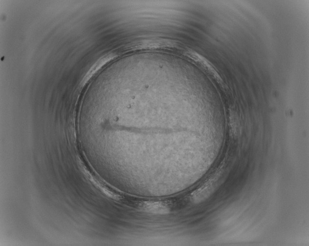 X0000070360794200606231621