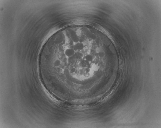 X0000070360795200606231621