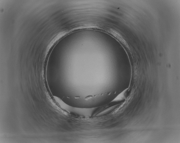 X0000070360797200606231621