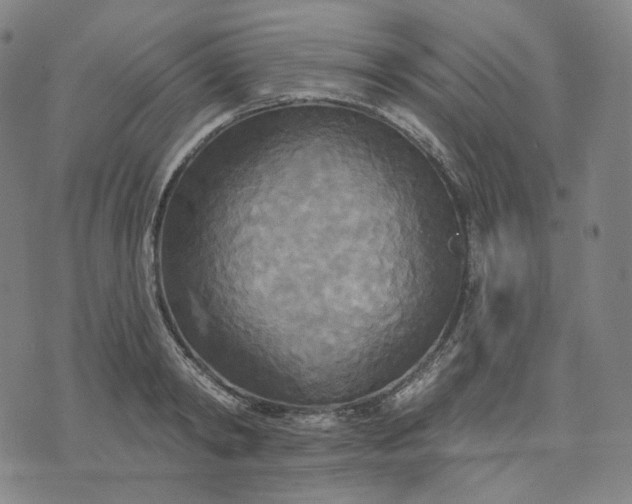 X0000070360798200606231621