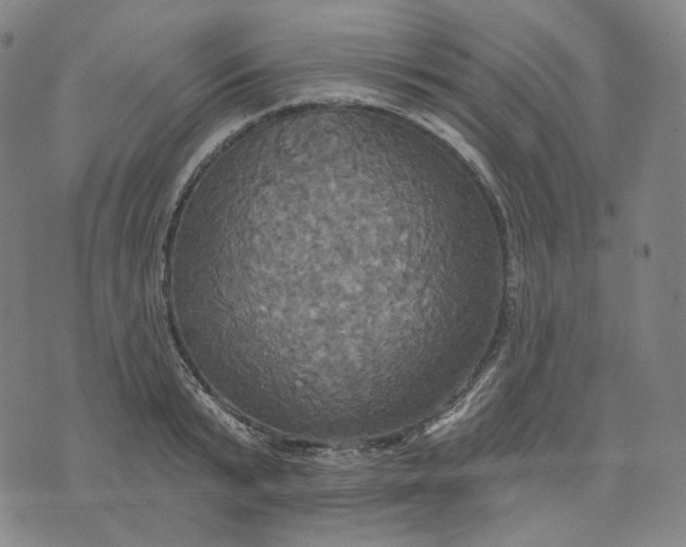 X0000070360799200606231621