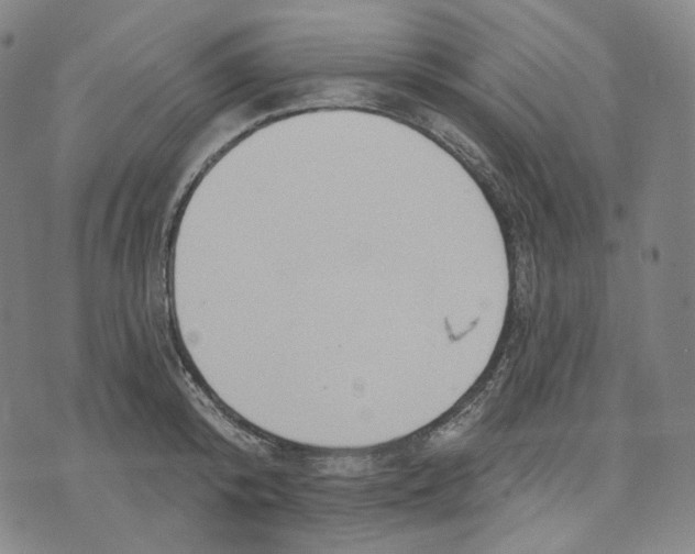 X0000070360800200606231621