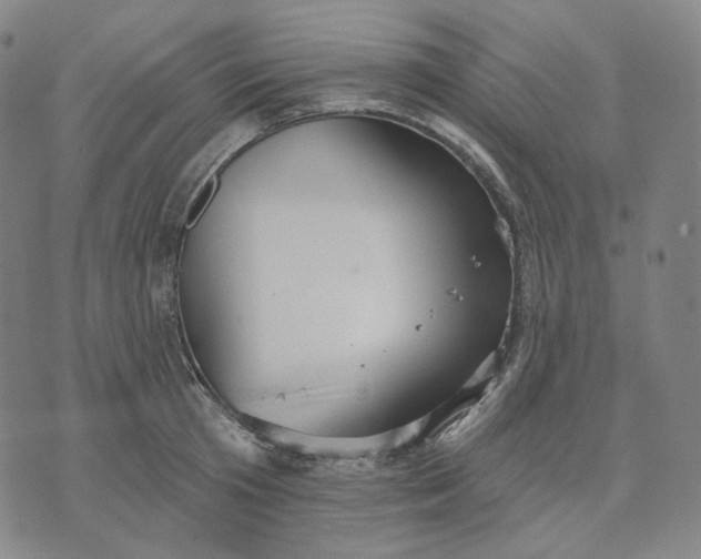 X0000070360801200606231621