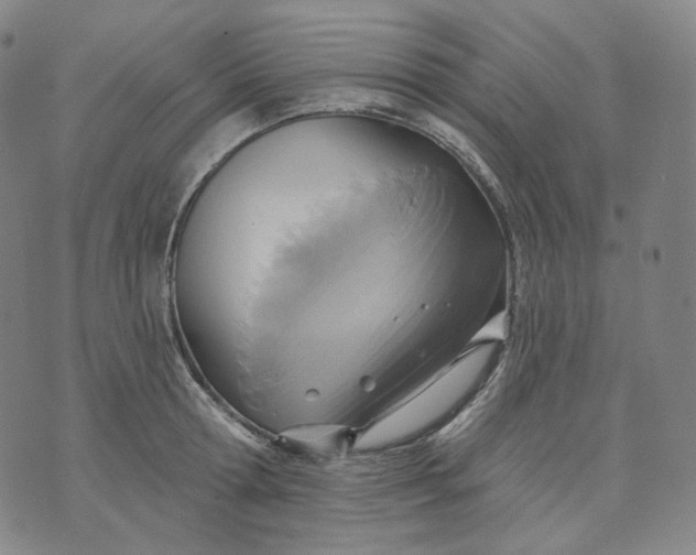 X0000070360802200606231621