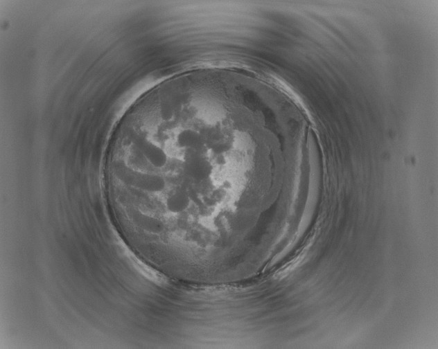 X0000070360803200606231621