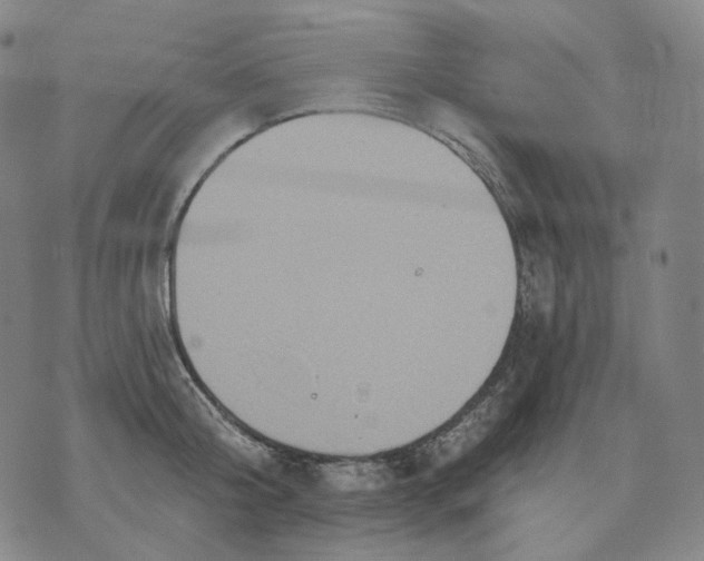 X0000070360804200606231621