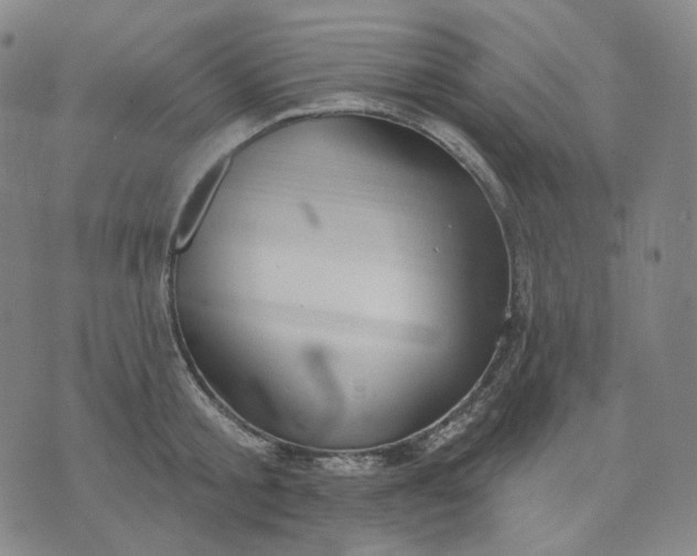 X0000070360805200606231621