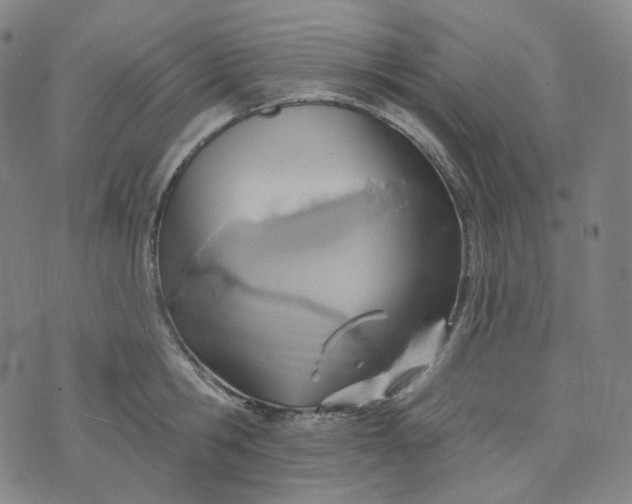 X0000070360806200606231621