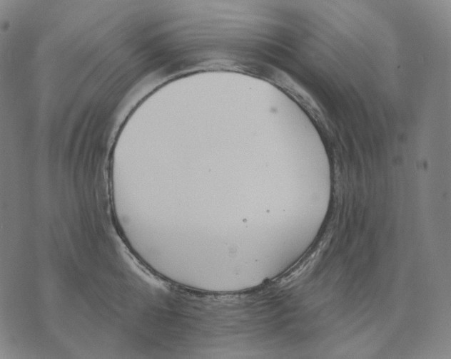 X0000070360808200606231621