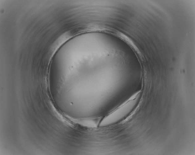 X0000070360810200606231621