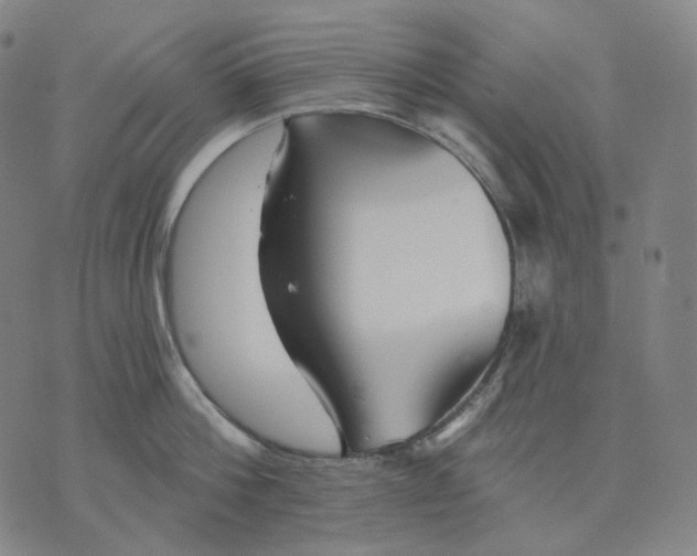 X0000070360812200606231621