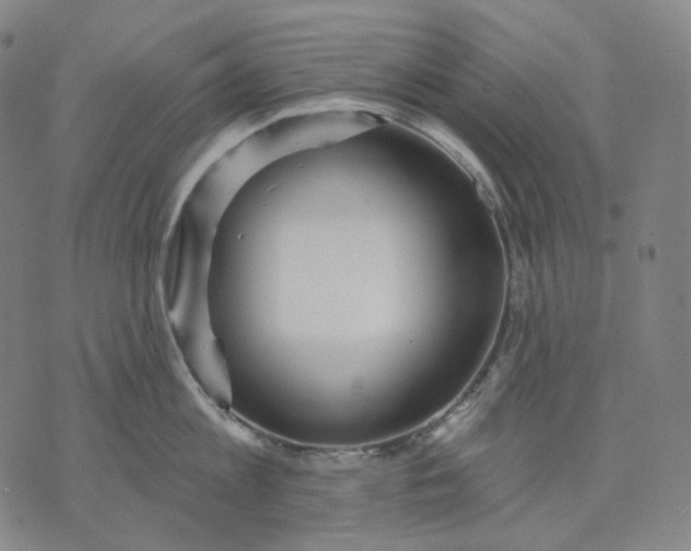 X0000070360813200606231621