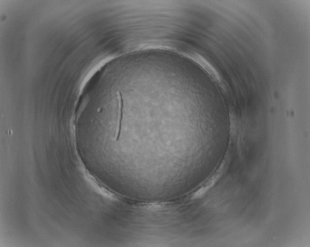 X0000070360814200606231621