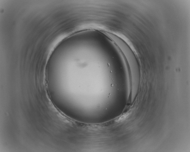 X0000070360815200606231621