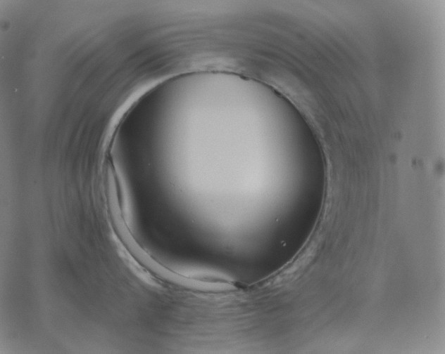 X0000070360816200606231621