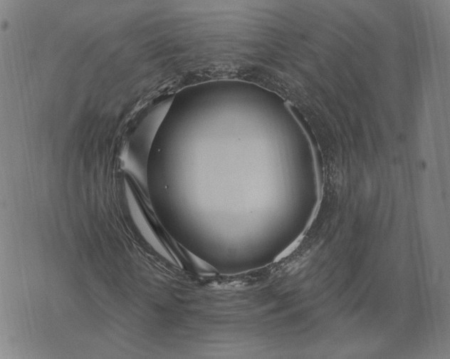 X0000070360818200606231620