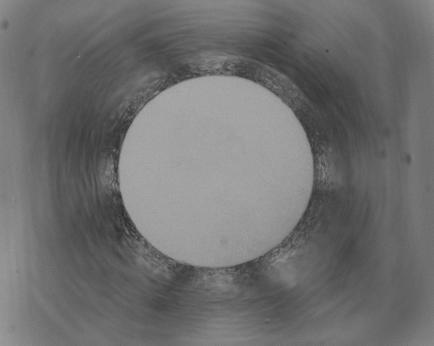 X0000070360820200606231620