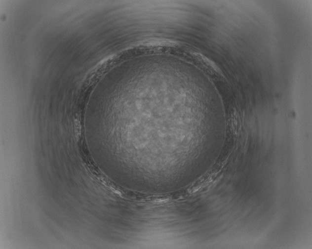 X0000070360821200606231620