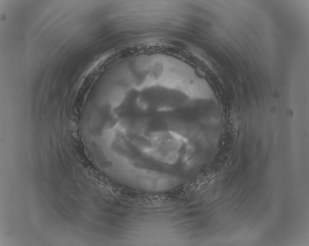 X0000070360823200606231620