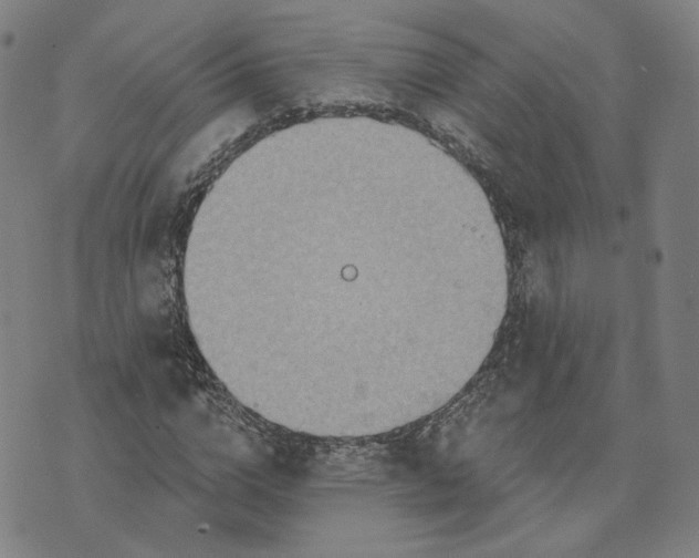 X0000070360824200606231620