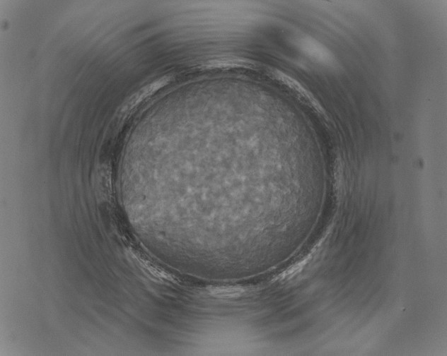 X0000070360825200606231620