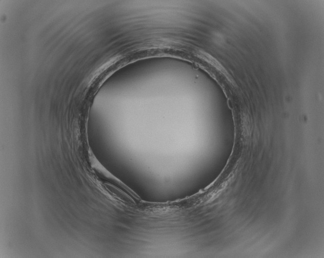 X0000070360826200606231620