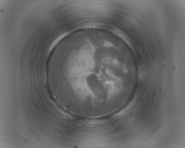 X0000070360829200606231620