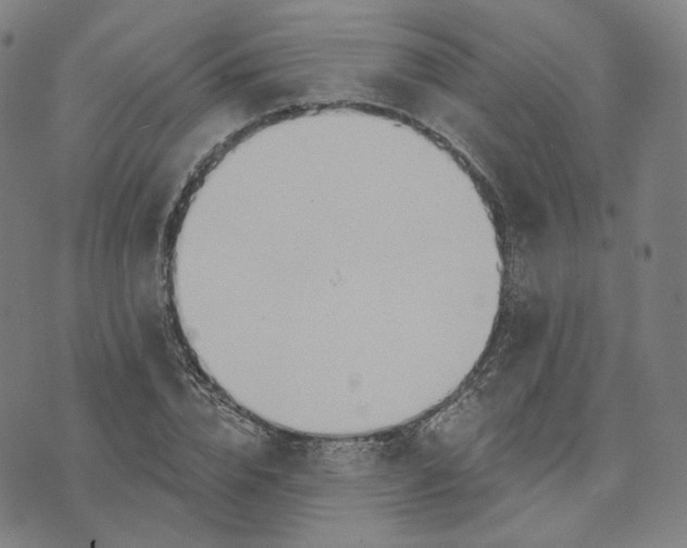 X0000070360832200606231620