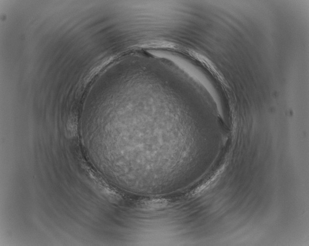 X0000070360833200606231620