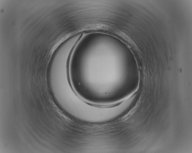 X0000070360834200606231620