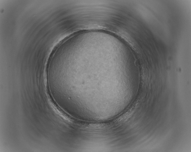 X0000070360840200606231620