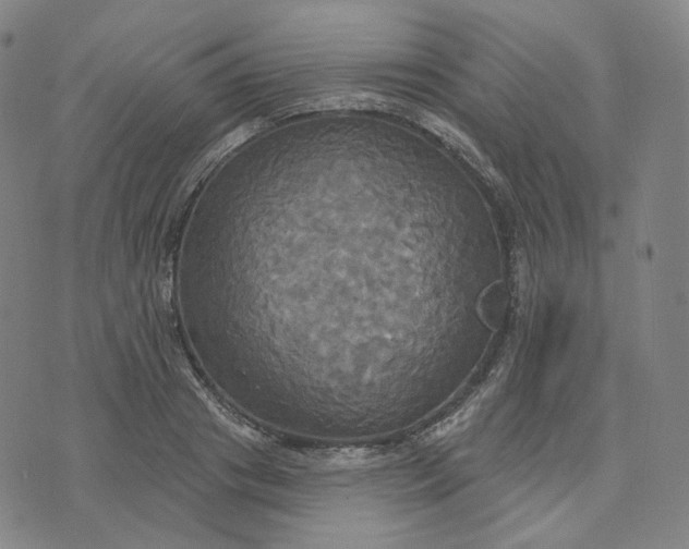 X0000070360841200606231620