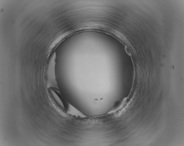 X0000070360842200606231620