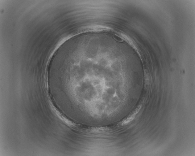 X0000070360843200606231620