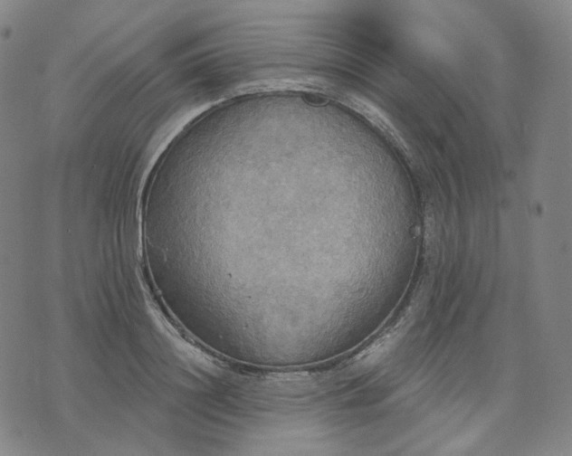 X0000070360844200606231620