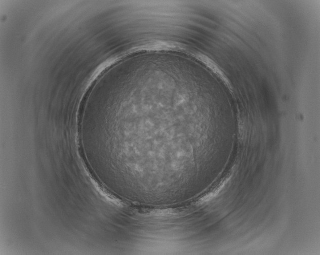 X0000070360845200606231620