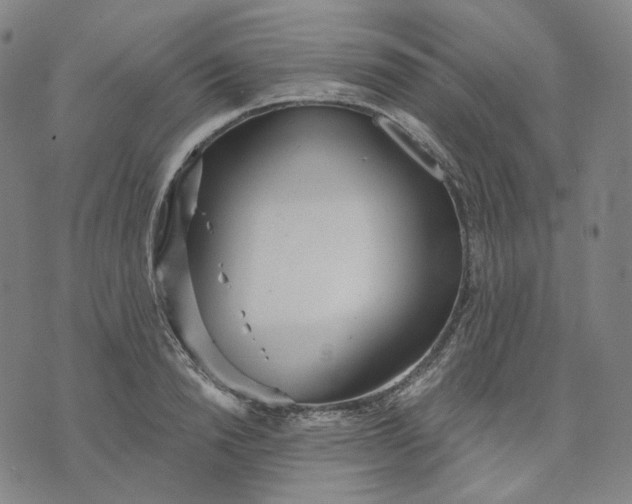 X0000070360846200606231620