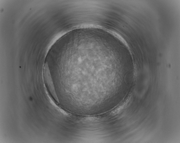 X0000070360847200606231620