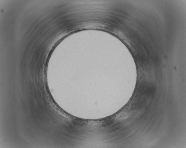 X0000070360848200606231620