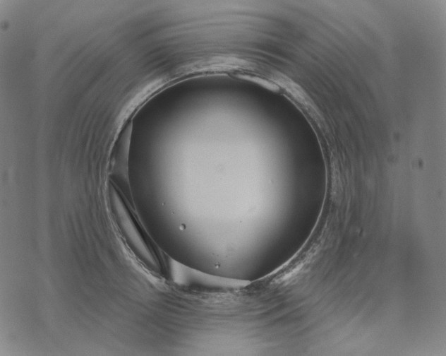 X0000070360850200606231620