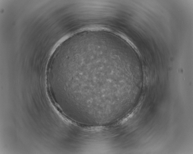 X0000070360853200606231620