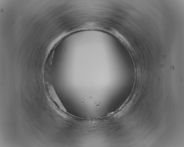 X0000070360854200606231620