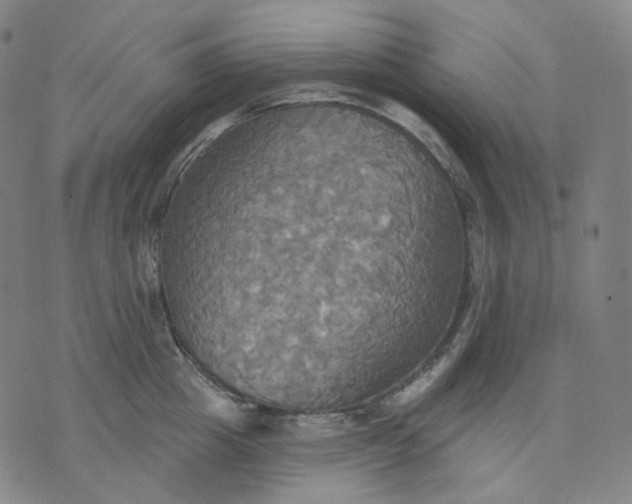 X0000070360857200606231620