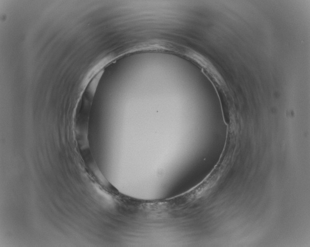 X0000070360858200606231620