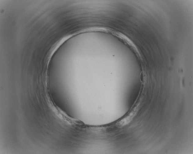 X0000070360860200606231620