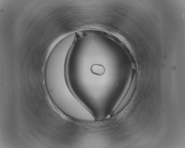 X0000070360862200606231621