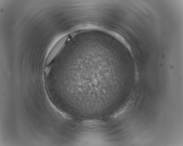 X0000070360863200606231621