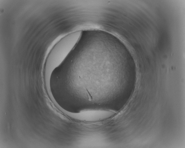 X0000070360864200606231621