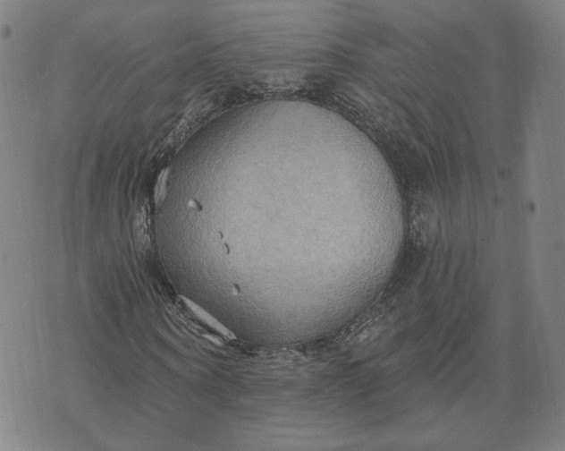 X0000070360866200606231620