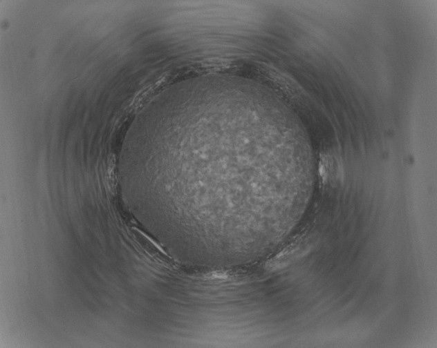 X0000070360867200606231620